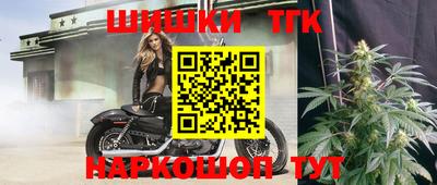 индика Вышний Волочёк