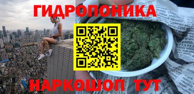 стаф Балахна