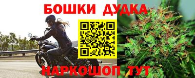 СК Балашиха