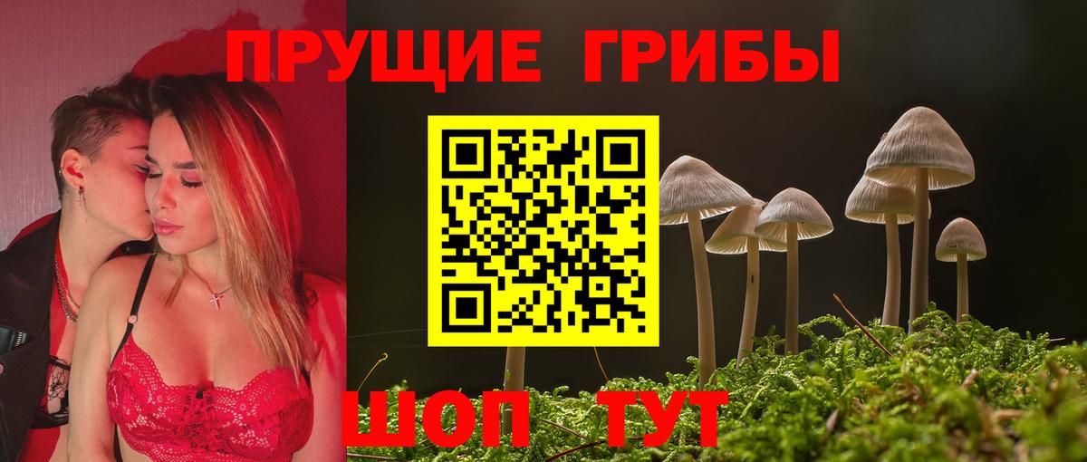 Галлюциногенные грибы Magic Shrooms  Псилоцибиновые грибы прущие грибы  Еманжелинск  Вход с VPN 
